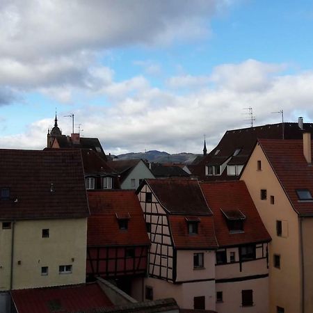 Gite Hopla 2 Chambres Colmar Esterno foto