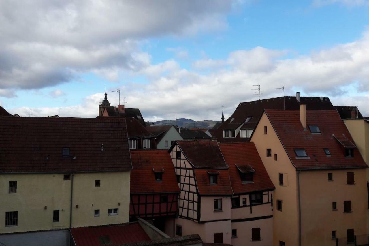 Gite Hopla 2 Chambres Colmar Esterno foto